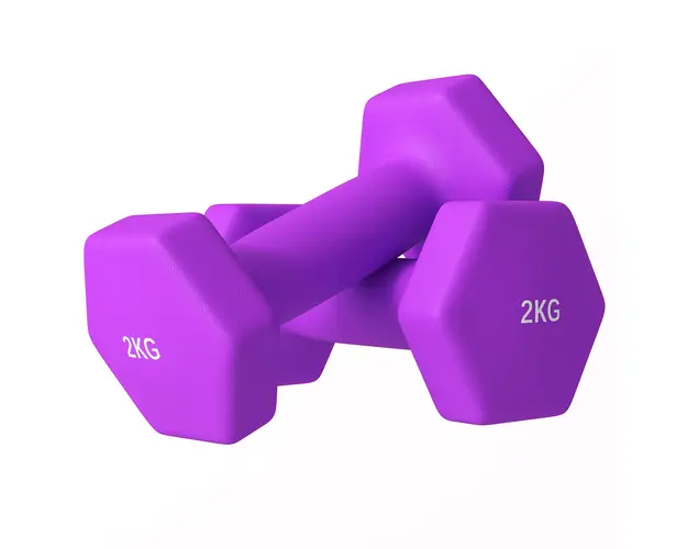 SPORTNOW Set de 2 Greutati, Set de Gantere Pereche cu Prindere Antiderapanta pentru Antrenament, 16x6x6 cm, Violet | Aosom Romania