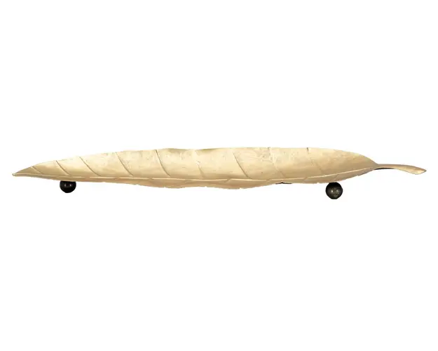 Mauro Ferretti TAVA LUNGA FOGLIA CM 38X3X11