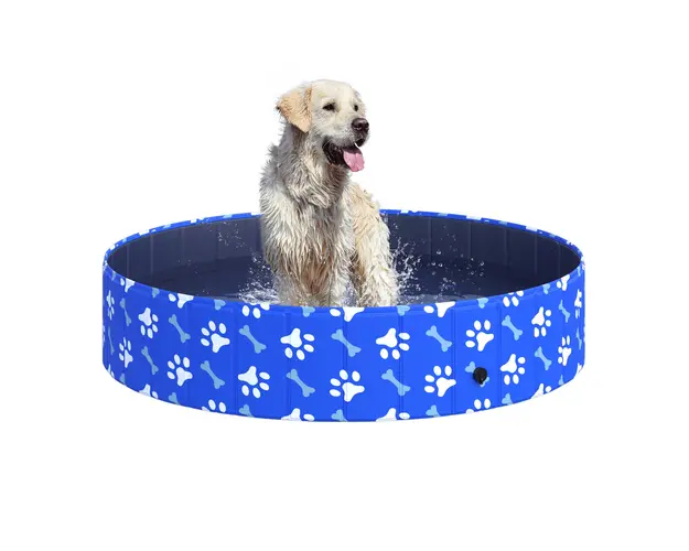 PawHut Piscina Rezistenta pentru Caini Mari, Anti-Alunecare, pentru Gradina/Interior, Φ140x30cm, Plastic Dur | Aosom Romania