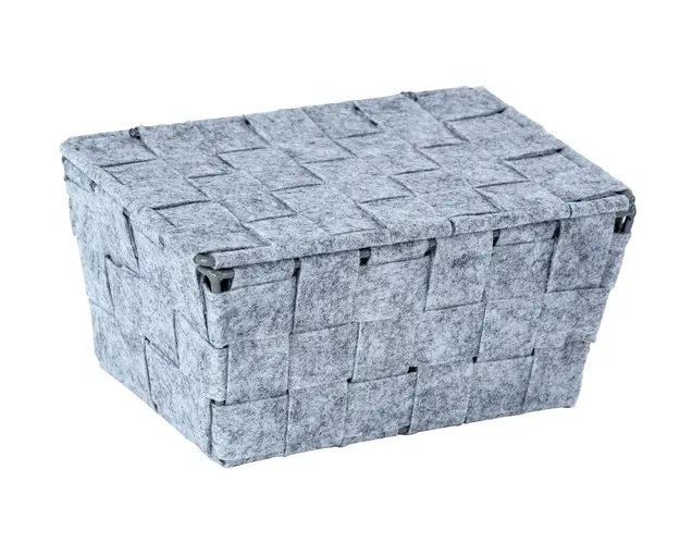 Cos depozitare cu capac, Wenko, Adria Feltro mini long, 19 x 9.4 x 14 cm, poliester, gri