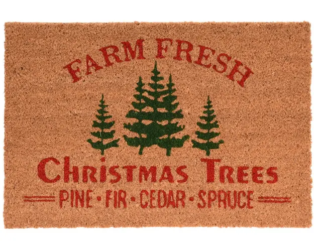 Covoras de intrare Farm fresh, 39x59 cm, fibra de cocos, multicolor