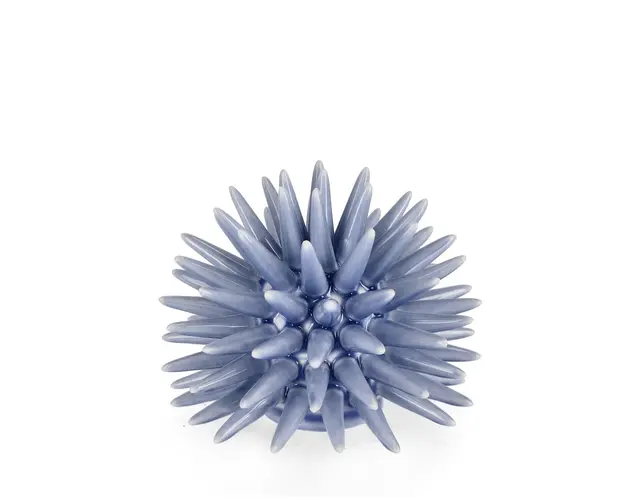 Decoratiune Abyss Sea Urchin, Bizzotto, Ø 15 x 13 cm, portelan, albastru deschis