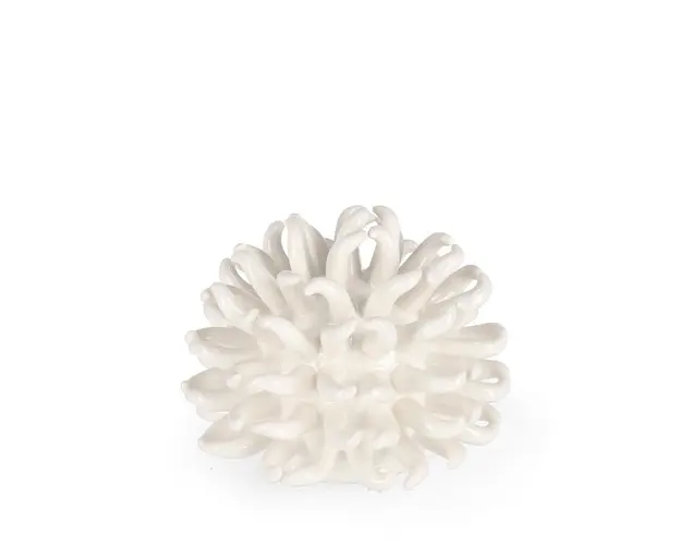 Decoratiune Deep Sea Urchin, Bizzotto, Ø 15 x 13 cm, portelan, alb