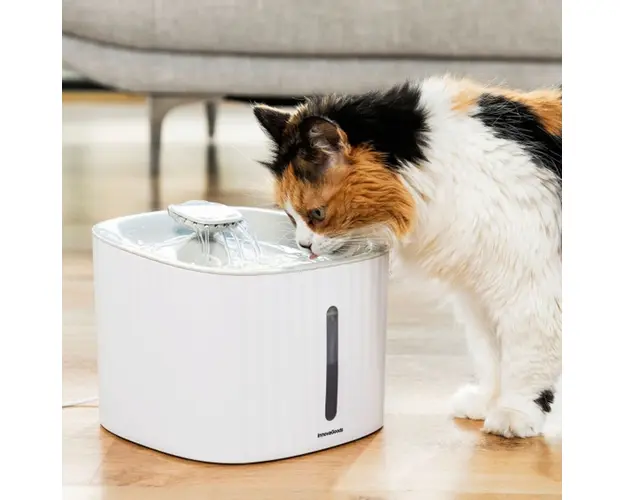 Fantana pentru animale de companie Drinkatt, InnovaGoods, USB, 3 L