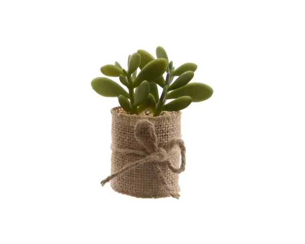 Floare artificiala in ghiveci Succulent v3, Decoris, 5 x 5 x 12 cm, plastic/iuta, verde