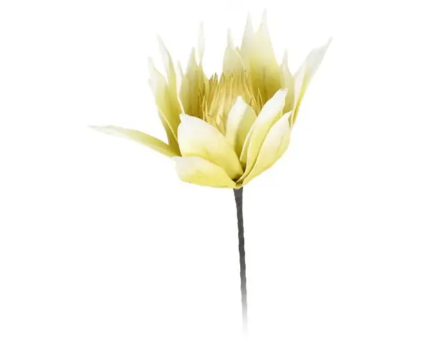 Floare artificiala Protea Roze, H81 cm, poliester, galben