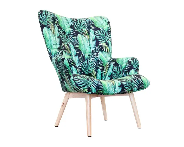 Fotoliu Moss, Homla, 70x55x95 cm, catifea din poliester/lemn, multicolor