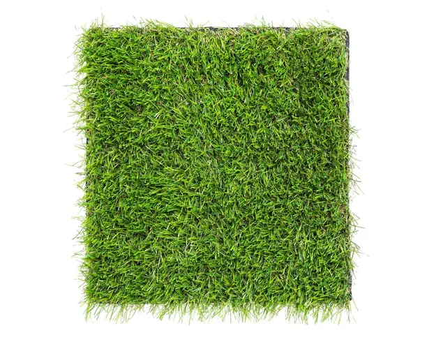 Gazon artificial Hoxton, Bizzotto, 30 mm, 300 x 100 cm