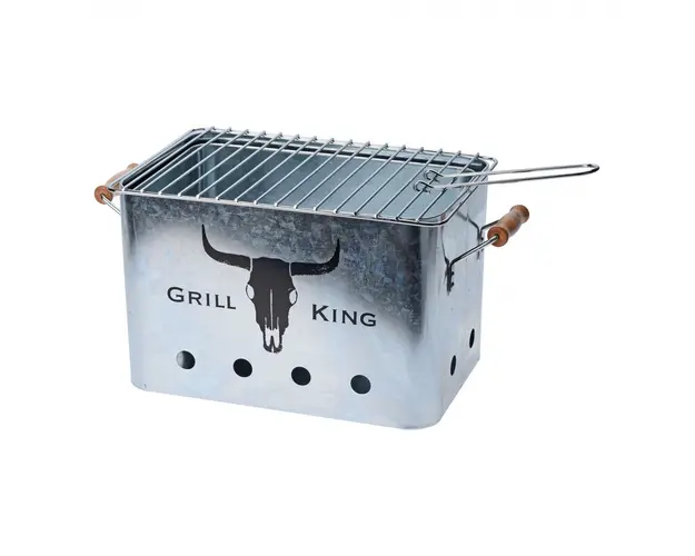 Gratar dreptunghiular Grill King, 20 x 20 x 32 cm, metal, argintiu