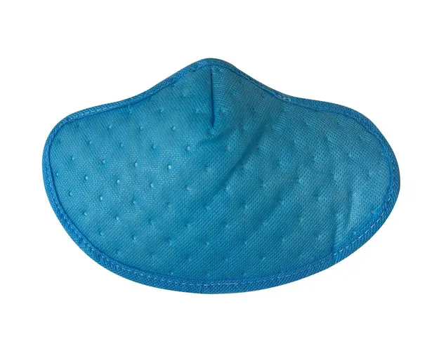 Masca matlasata cu filtru
