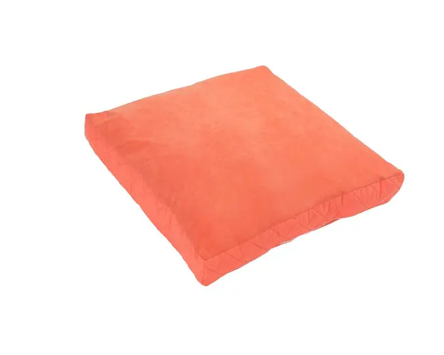 Pat pentru animale de companie, PetBed, 70x70 cm, Corai