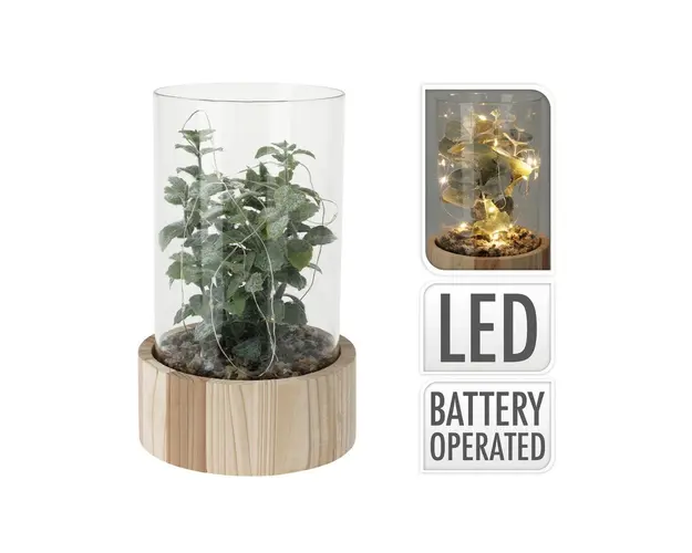 Planta artificiala cu 15 LED-uri, 14 x 14 x 23 cm, V1, sticla/lemn