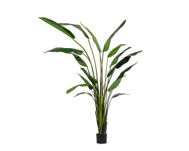 Planta artificiala in ghiveci Sterilizia, Bizzotto, 180 x 140 x 310 cm, 18 frunze, frunze de arbore de cauciuc