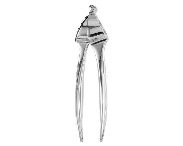 Presa usturoi BergHOFF, Essentials, 19 x 6.5 x 3.5 cm, aliaj de zinc, argintiu