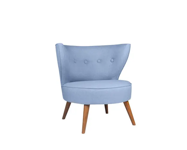 Fotoliu, Zeon, 558ZEN1114, Lemn, Albastru indigo