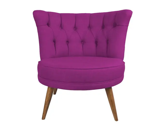 Fotoliu, Zeon, 558ZEN1174, Lemn, Mov