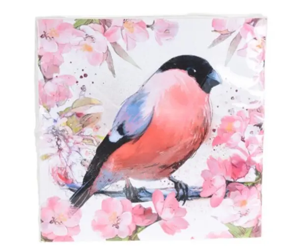 Servetele Bird, 33x33 cm, 20 buc, hartie, roz/albastru/negru