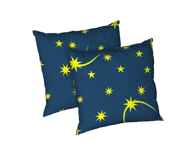 Set 2 perne Moon Night, microfibra matlasata Alcam, 70X70 cm