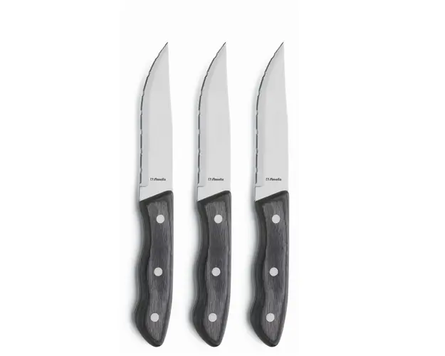 Set 3 cutite pentru friptura, Richardson Sheffield, Hercule, inox