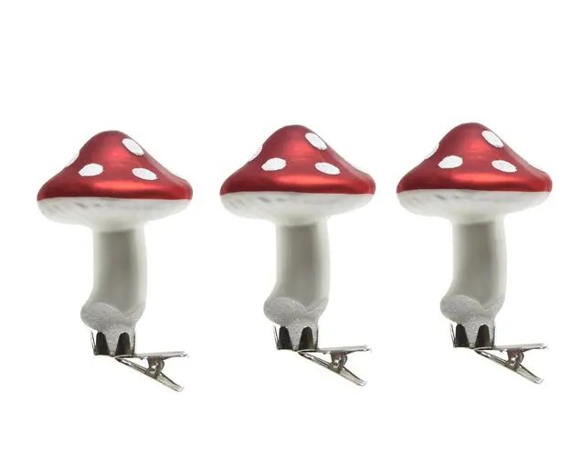 Set 3 globuri Mushroom w dot on, Decoris, 6x8 cm, sticla, rosu/alb
