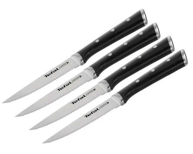 Set 4 cutite pentru friptura, Tefal, Ice Force, 11 cm, inox/plastic