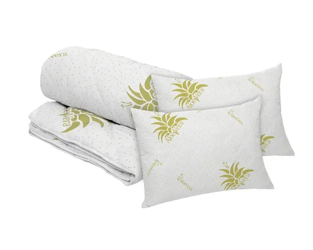Set Aloe Vera Essence, 2 perne microfibra 50x70 cm si pilota matlasata 350g/mp, 180x200 cm