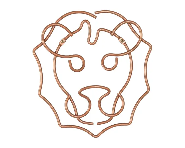 Suport decorativ perete Lion, Metaltex, 27 x 30 cm, inox, aramiu