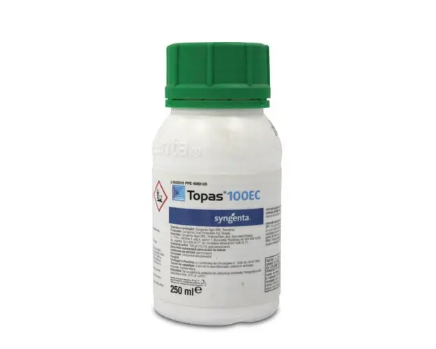 Topas 100EC 250 ml, fungicid sistemic local, Syngenta, fainare (vita de vie, arbusti fructiferi, ardei, capsun, castraveti, dovleac, mar, pepene, tomate, trandafiri)
