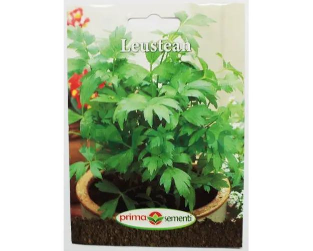 Seminte Leustean