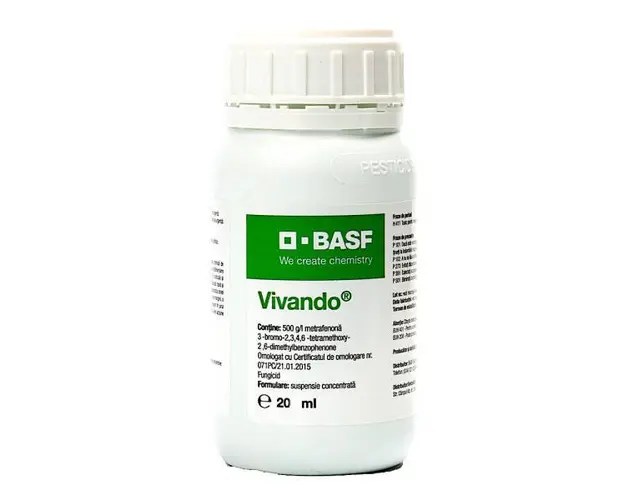 Vivando 20 ml, fungicid sistemic, BASF, fainare (vita de vie), rezistenta ridicata la spalare, sigur pentru albine, interval scurt pana la recoltare, nu afecteaza fermentatia
