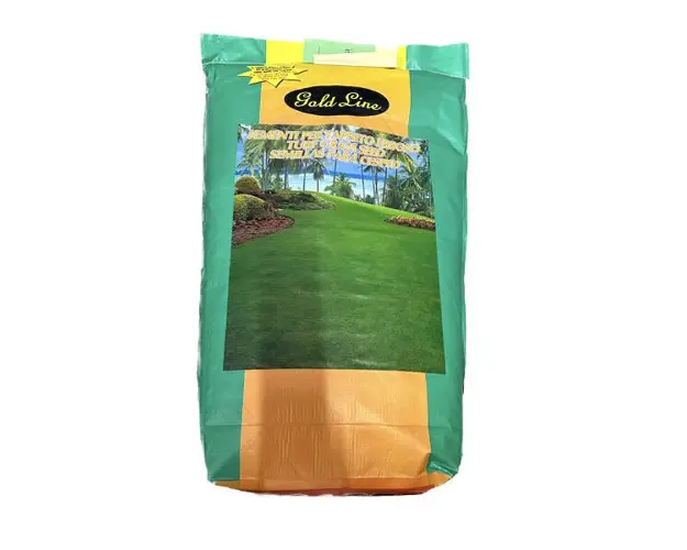 Seminte gazon soare 10 kg