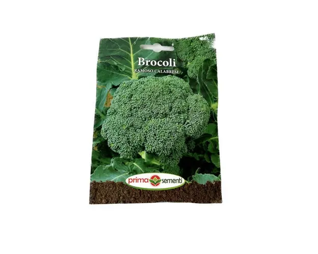 Seminte brocoli Ramoso Calabrese 1 gr, Prima Sementi