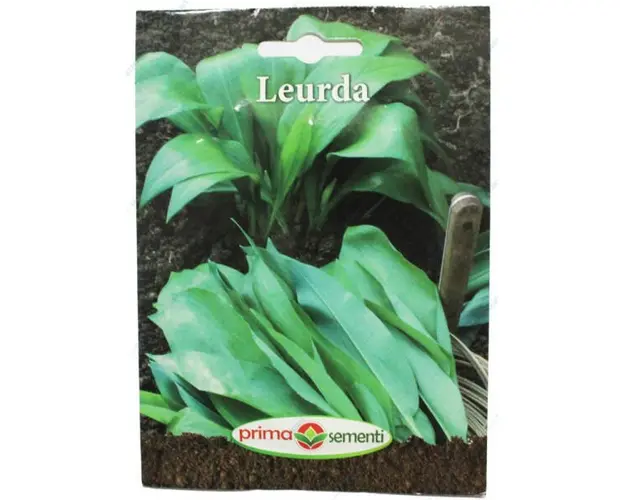 Seminte Leurda