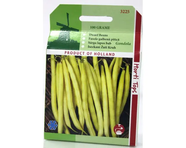 Seminte fasole galbena, fideluta Gondola 100 gr, Holland