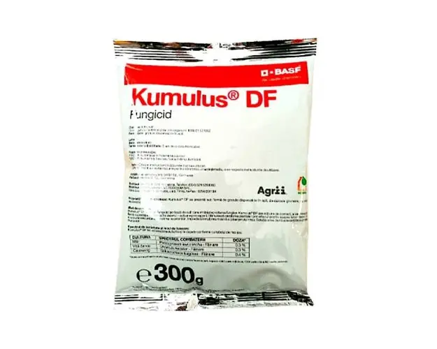 Kumulus DF 300 gr fungicid de contact pe baza de Sulf, BASF, fainare (vita de vie, mar, castraveti)
