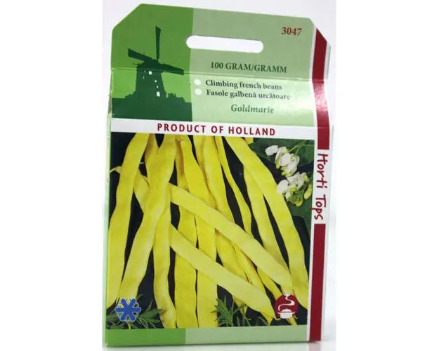 Seminte fasole galbena, lata Goldmarie 100 gr, Holland