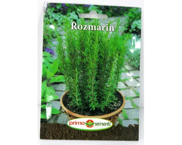 Seminte rozmarin Prima Sementi