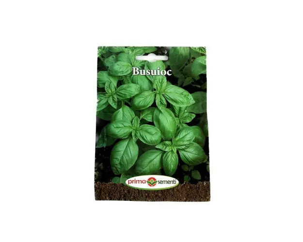 Seminte busuioc verde 3 gr, Prima Sementi