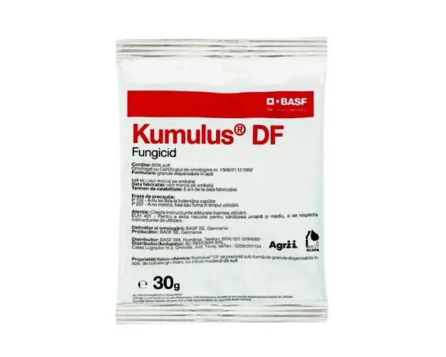 Kumulus DF 30 gr fungicid de contact pe baza de Sulf, BASF, fainare (vita de vie, mar, castraveti)