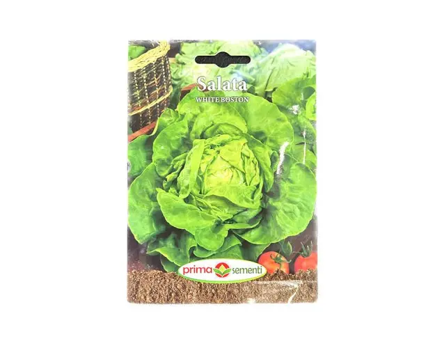 Seminte salata White Boston 3 gr, Prima Sementi