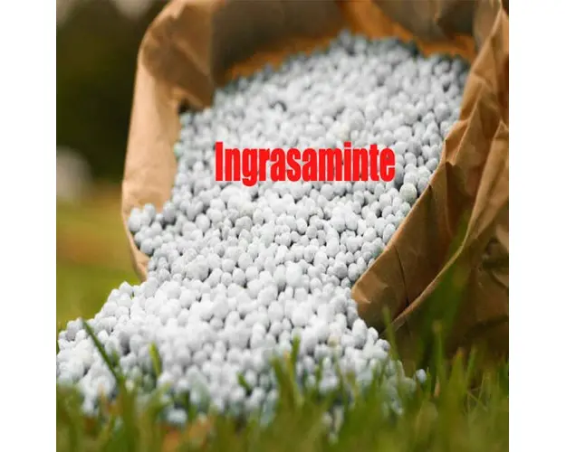 Ingrasamant complex NPK 0-12-23 + 4%Mg sac 50 kg