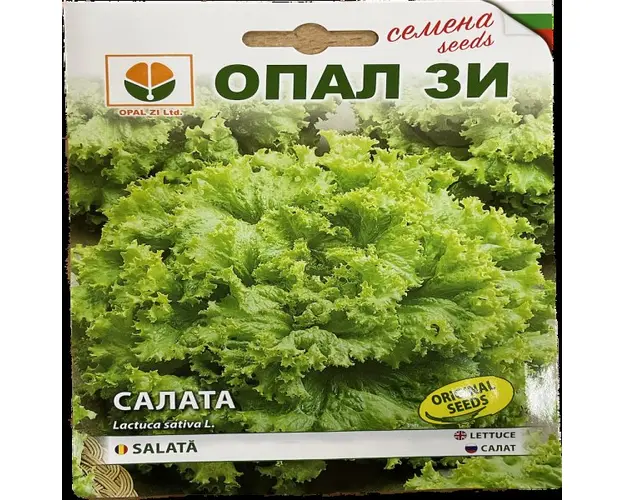 Seminte salata creata 2 gr, OpalZi Bulgaria