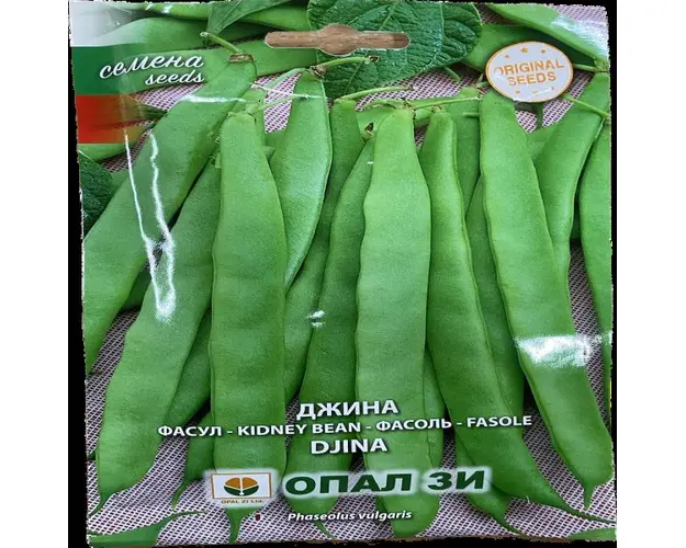 Seminte fasole Djina 40 gr, OpalZi Bulgaria