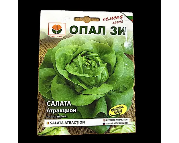 Seminte salata Atraction 2 gr, OpalZi Bulgaria