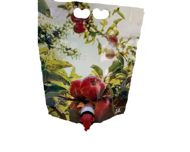 Punga Super Pouch 5L model suc, mere rosii mici