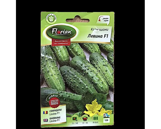 Seminte castraveti cornison Levina F1 2 gr, Florian Bulgaria
