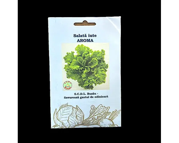 Seminte salata iute Aroma 5 gr, SCDL Buzau