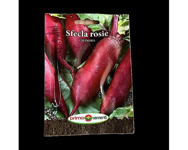 Seminte sfecla rosie Cilyndra 5 gr, Prima Sementi