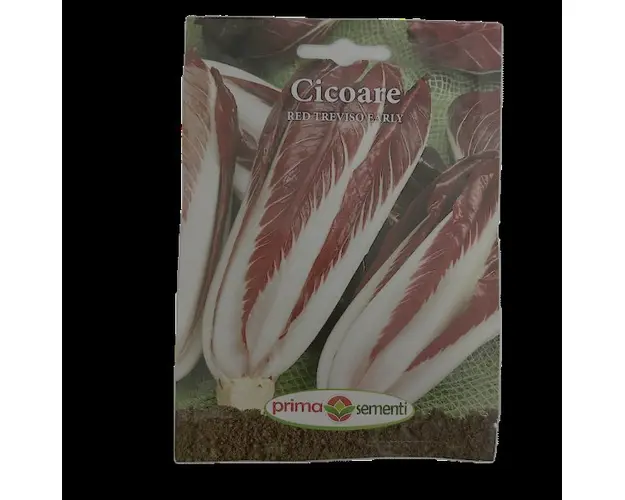 Seminte cicoare Red Treviso Early 5 gr, Prima Sementi
