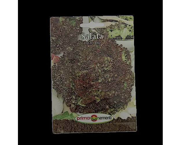 Seminte salata Lollo Red 2 gr, Prima Sementi